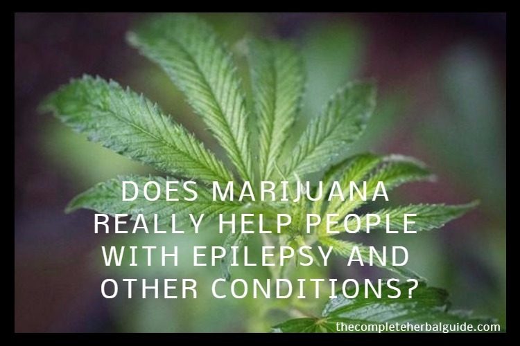 Does Marijuana Really Help People with Epilepsy and Other Conditions?
